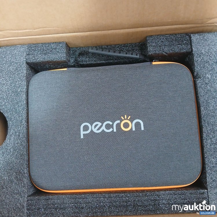 Artikel Nr. 921357: Pecron Powerstation 