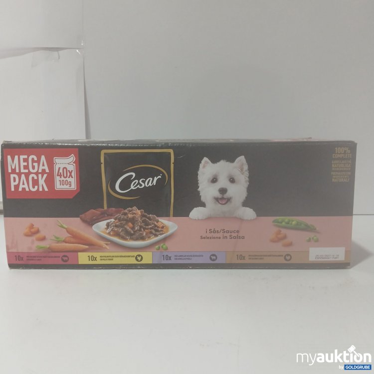 Artikel Nr. 846359: Cesar dog food mega Pack 40x100g