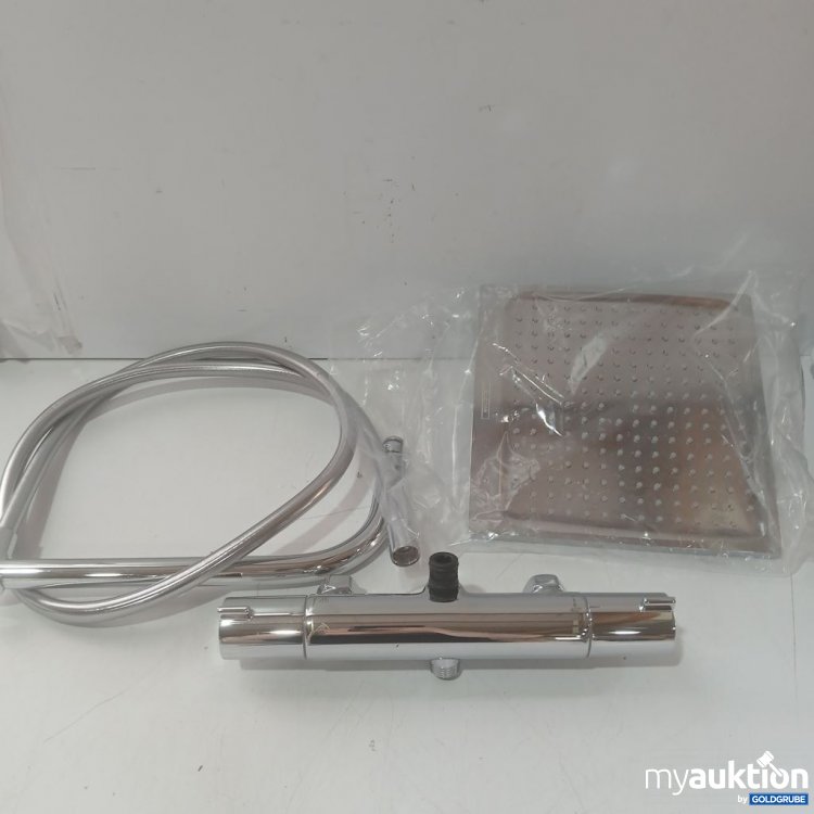 Artikel Nr. 933360: Hansgrohe Handbrause mit Schlauch und Wandhalterung. Material: Chrom