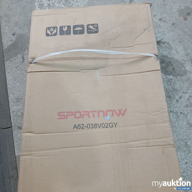 Artikel Nr. 442362: SPORTNOW A62-038V02GY