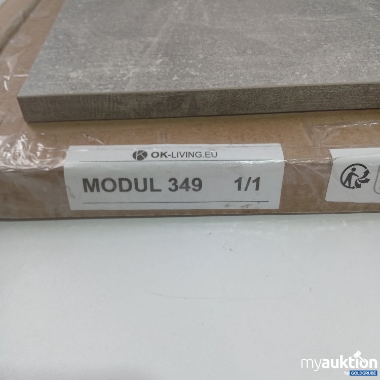Artikel Nr. 438364: OK-Living Modul 349 1/1 ca.70x40cm