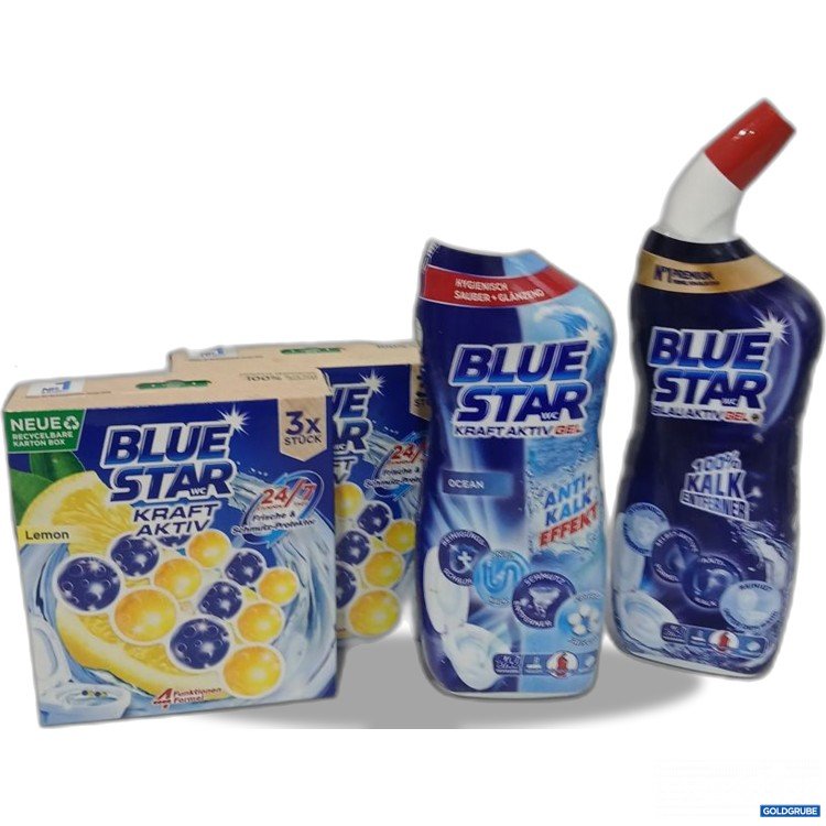 Artikel Nr. 885365: BLUE STAR diverse WC Reiniger