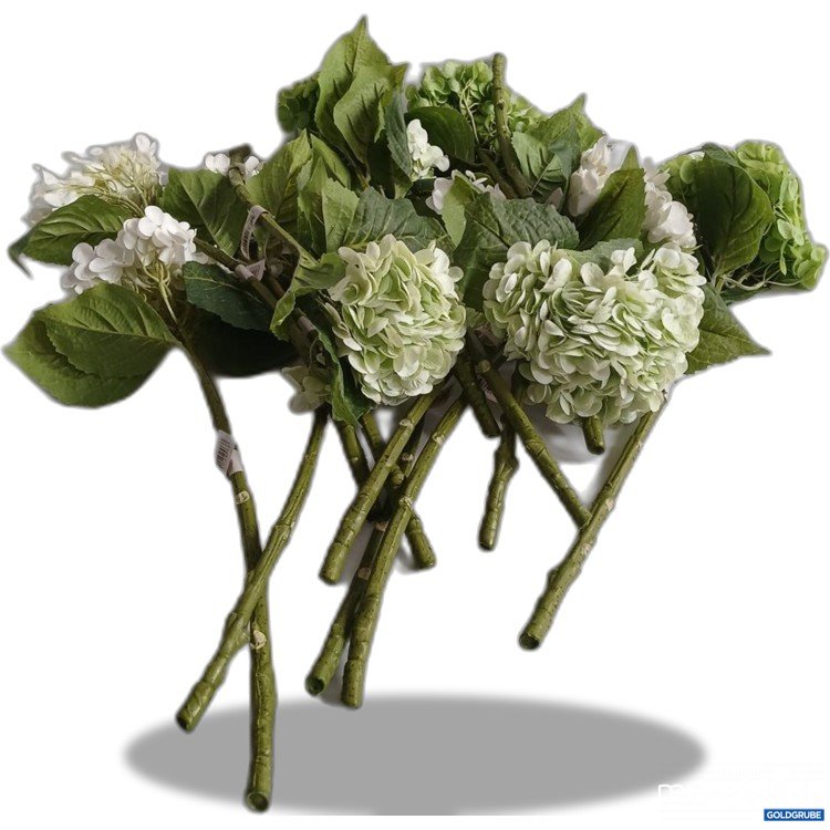 Artikel Nr. 442367: Botane Hydrangea Flower white & green ca. 50cm 14Stk