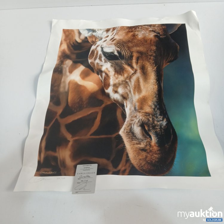 Artikel Nr. 874367 Artikel Nr. 874367: Carla Grace Giraffe