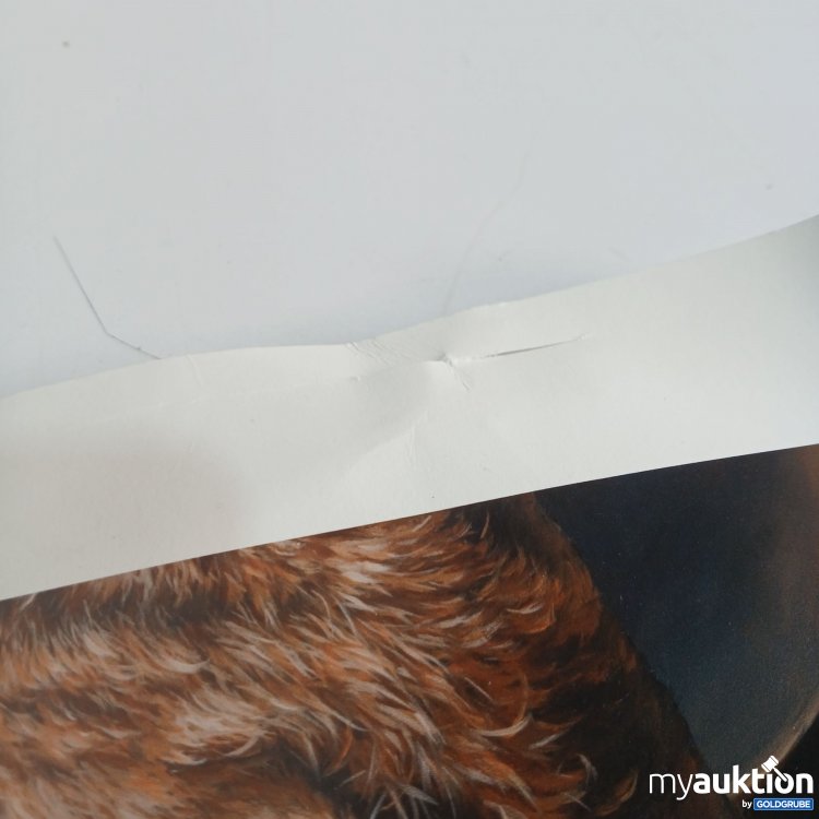 Artikel Nr. 874367: Carla Grace Giraffe 