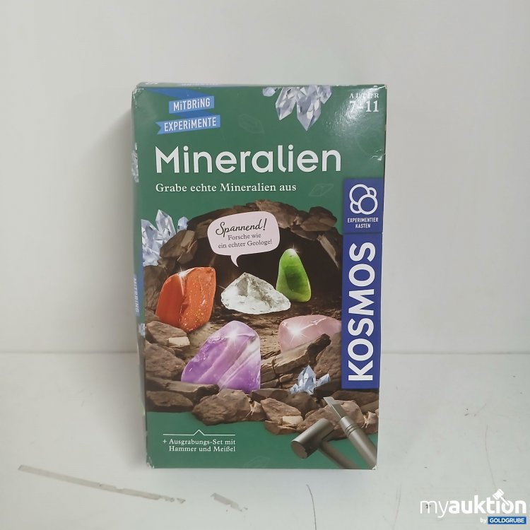 Artikel Nr. 813368 Artikel Nr. 813368: Mineralien Ausgrabungs-Set