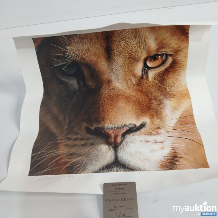 Artikel Nr. 874368 Artikel Nr. 874368: Carla Grace Löwe 2/15