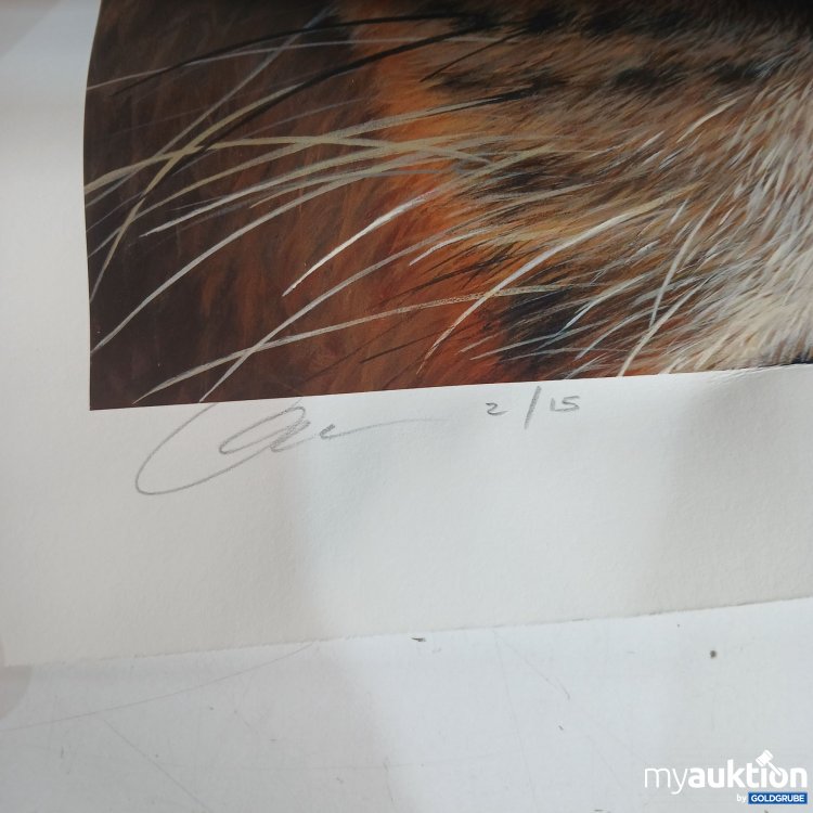 Artikel Nr. 874368 Artikel Nr. 874368: Carla Grace Löwe 2/15