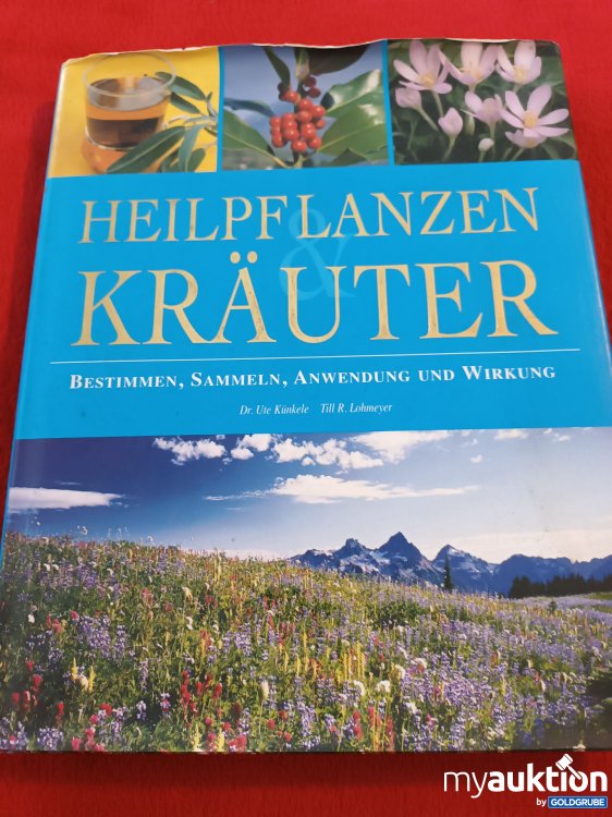 Artikel Nr. 941372 Artikel Nr. 941372: HEILPFLANZEN & KRÄUTER