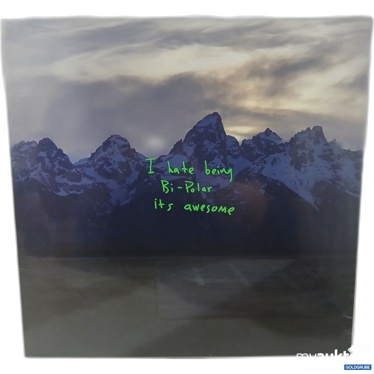 Artikel Nr. 930375 Artikel Nr. 930375: I Hate Being Bi-Polar Vinyl Album