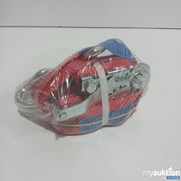 Artikel Nr. 879379: Zurrgurt 2Tlg.