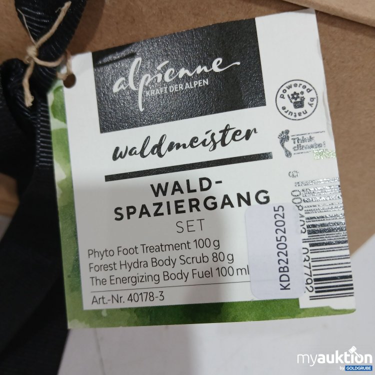 Artikel Nr. 953382: Alpine Waldspaziergang Set 