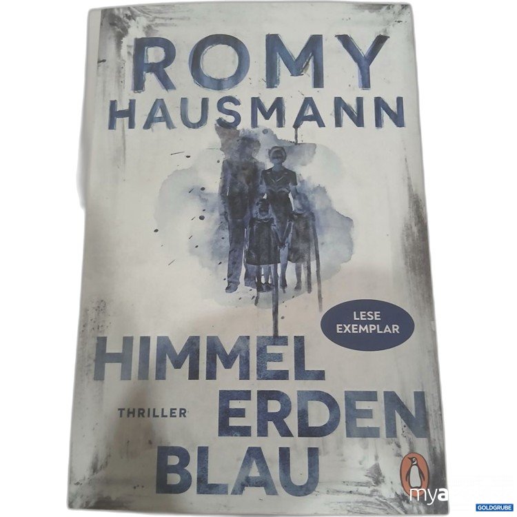 Artikel Nr. 984382 Artikel Nr. 984382: Romy Hausmann Himmel Erden Blau Thriller