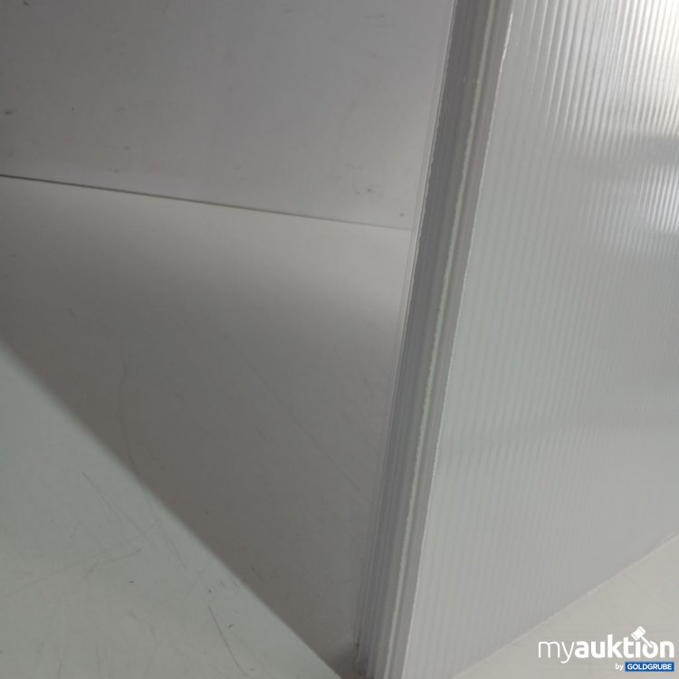 Artikel Nr. 442384: Doppelstegplatten Set Sera 121x60,5cm 4mm 6Stk