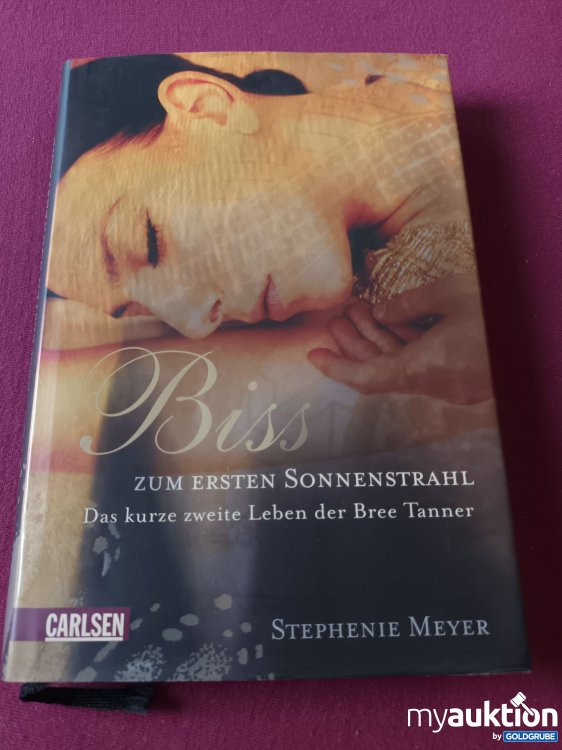 Artikel Nr. 999397 Artikel Nr. 999397: Biss zum ersten Sonnenstrahl