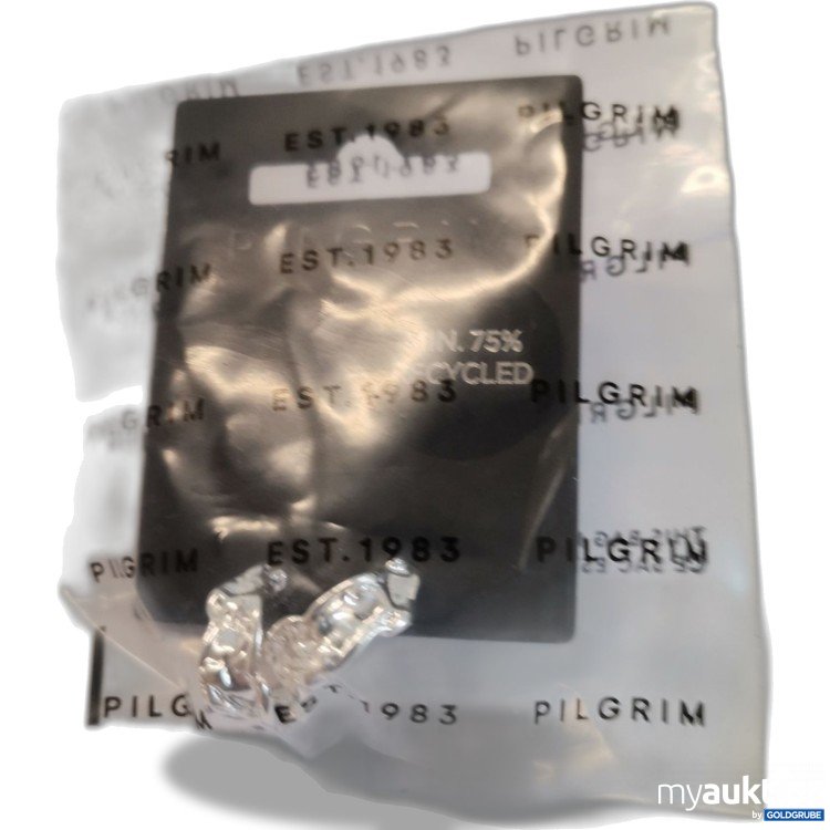 Artikel Nr. 893404: Pilgrim. Ohrr 