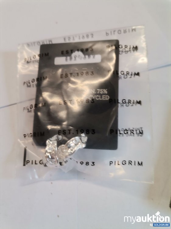 Artikel Nr. 893404: Pilgrim. Ohrr 