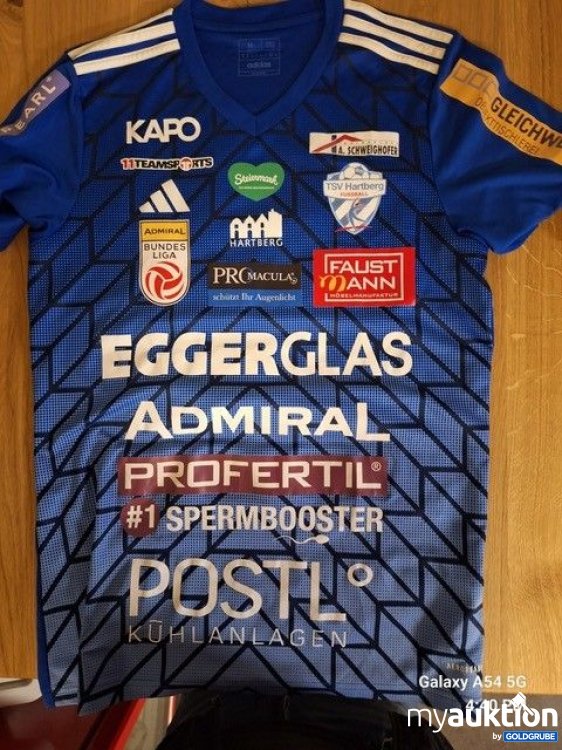 Artikel Nr. 920404: Damjan Kovacevic, TSV Hartberg, ÖFB U21 Spieler, von allen Spielern von TSV Hartberg signiert