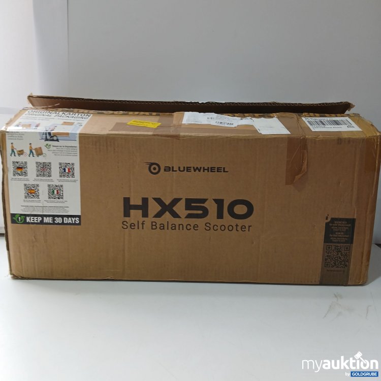 Artikel Nr. 862405: Bluewheel HX510 Self Balance Scooter 