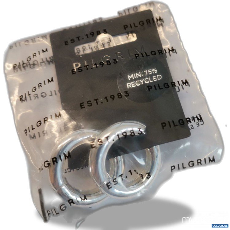 Artikel Nr. 893405: Pilgrim Creolen 