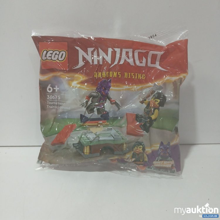 Artikel Nr. 873408 Artikel Nr. 873408: LEGO Ninjago Dragons Rising