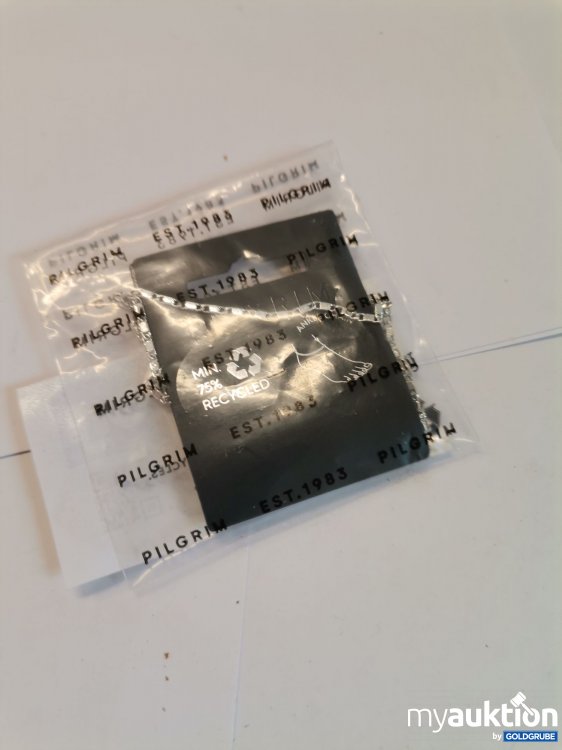 Artikel Nr. 893408: Pilgrim Fußkettchen 