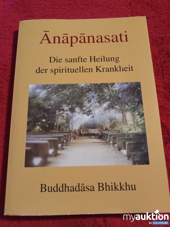 Artikel Nr. 907408: Buch, Die sanfte Heilung der spirituellen Krankheit 