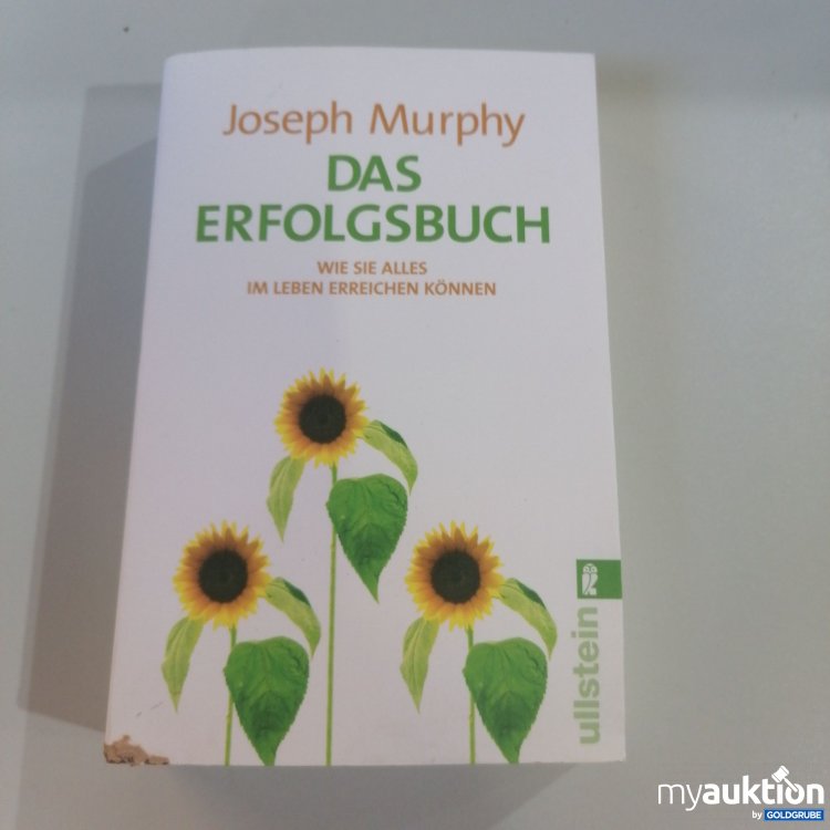 Artikel Nr. 753412 Artikel Nr. 753412: "Das Erfolgsbuch: Lebensziele erreichen"