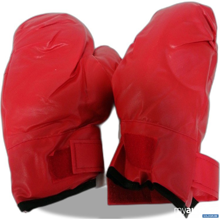 Artikel Nr. 888414: Diverse Boxhandschuhe 