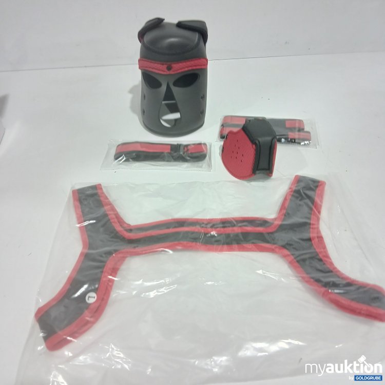 Artikel Nr. 910414 Artikel Nr. 910414: Kostüm