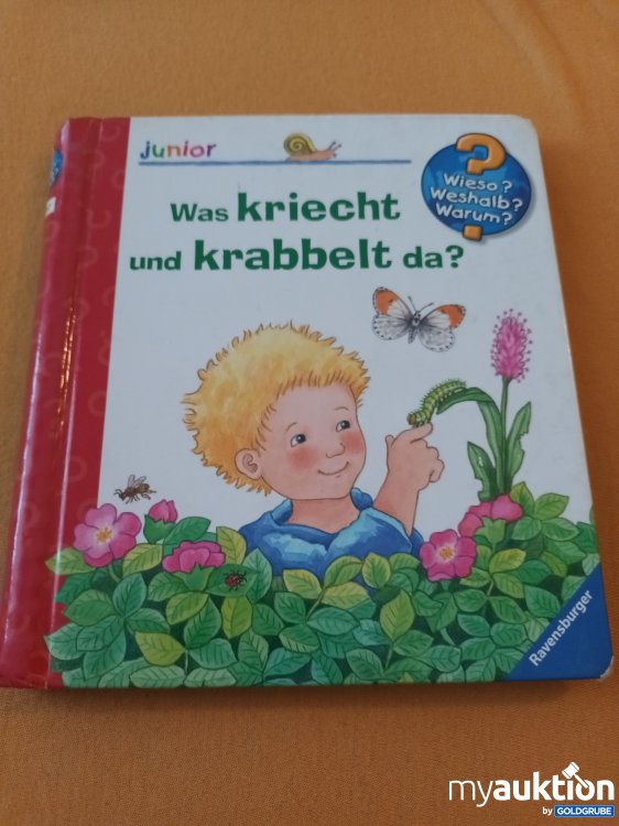 Artikel Nr. 900415 Artikel Nr. 900415: Kleines Wieso, Weshalb, Warum Buch