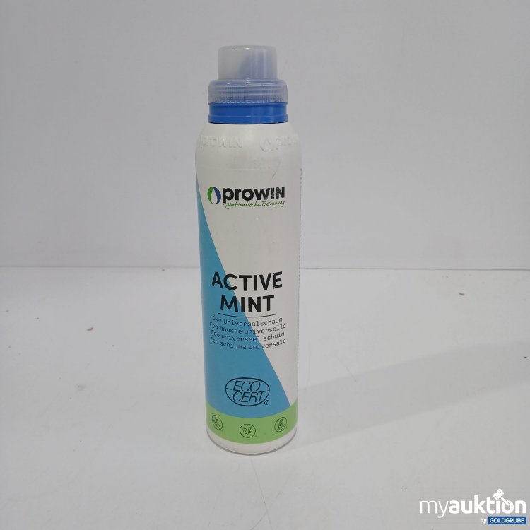 Artikel Nr. 807419 Artikel Nr. 807419: Prowin Active Mint Öko Universalschaum 1000g