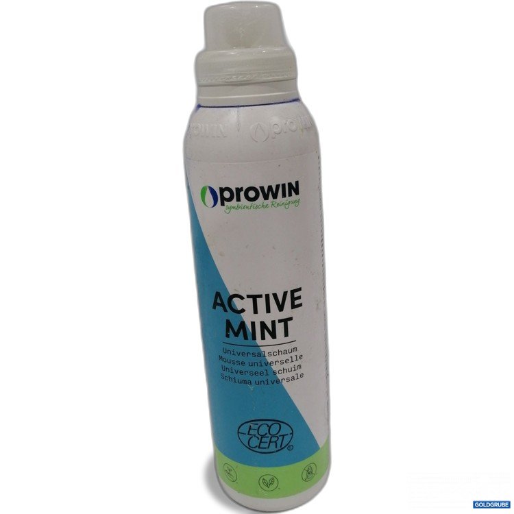 Artikel Nr. 890419 Artikel Nr. 890419: Prowin Active Mint Universalschaum 1kg