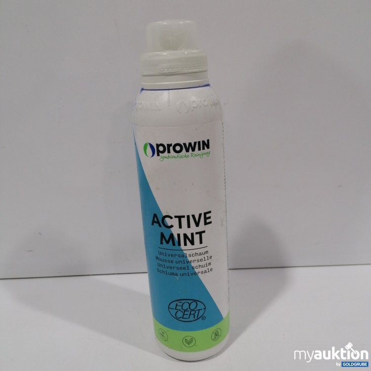 Artikel Nr. 890419 Artikel Nr. 890419: Prowin Active Mint Universalschaum 1kg