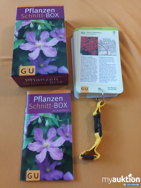 Artikel Nr. 900424 Artikel Nr. 900424: Pflanzen Schnitt Box