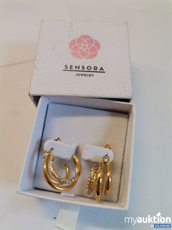 Artikel Nr. 893426: Sensors Creolen 