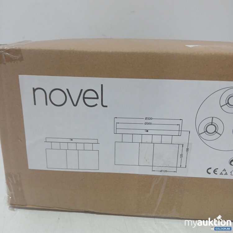 Artikel Nr. 984428 Artikel Nr. 984428: Novel Deckenleuchte 47070119/01 Durchmesser ca 30,5cm
