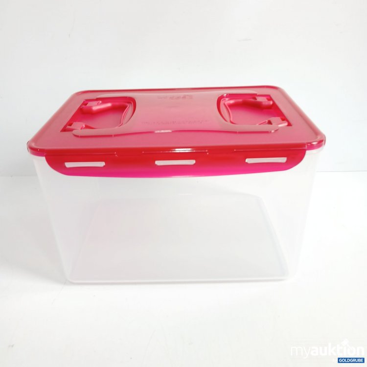 Artikel Nr. 865430: Lock&Lock Aufbewahrungsbox Größe ca 35×26×21 cm