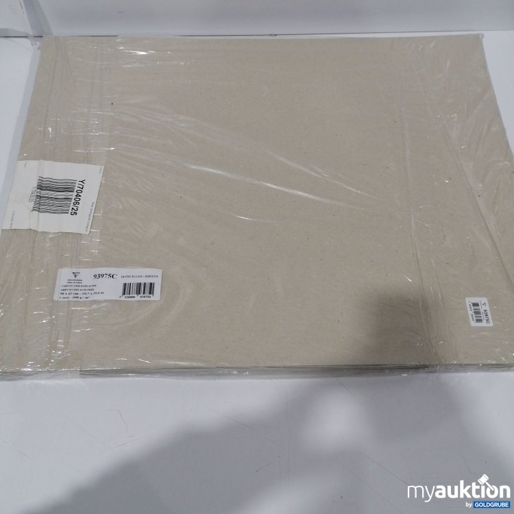 Artikel Nr. 889430: Carton Gris Sans Acide 50x65cm 30Stk 93975C