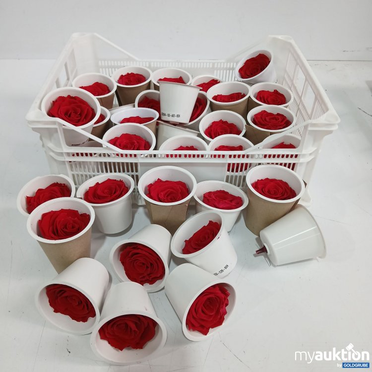 Artikel Nr. 950430 Artikel Nr. 950430: Rosen