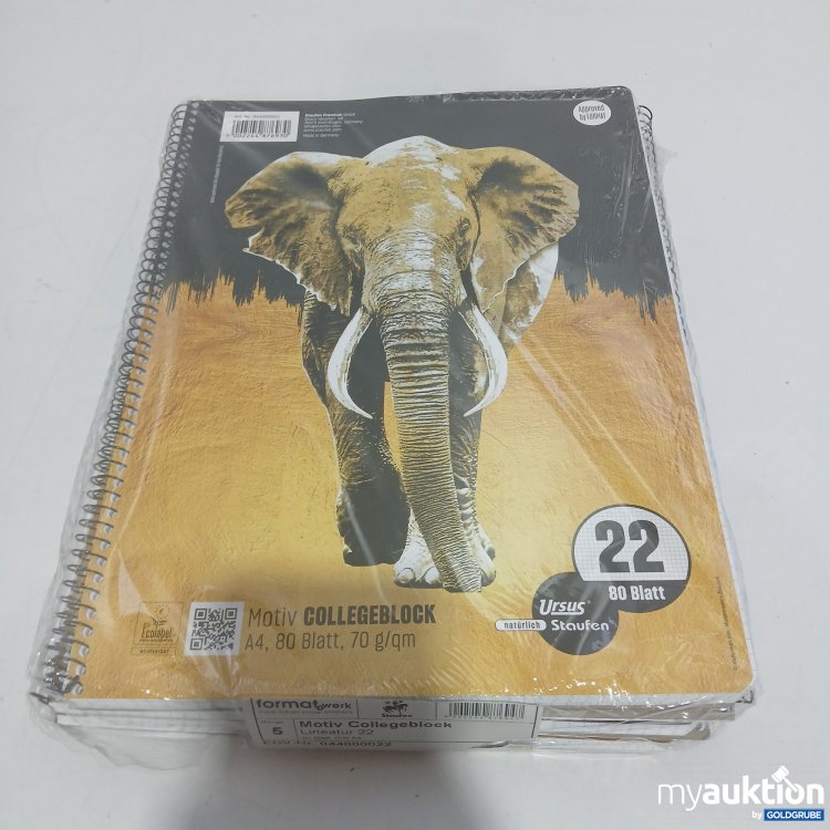 Artikel Nr. 522431 Artikel Nr. 522431: Ursus Motiv Collegeblock 5 Stück A4