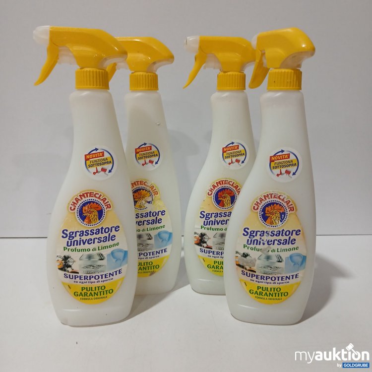 Artikel Nr. 770433: Sgrassatore Universalreiniger Extra Stark 600ml 4x