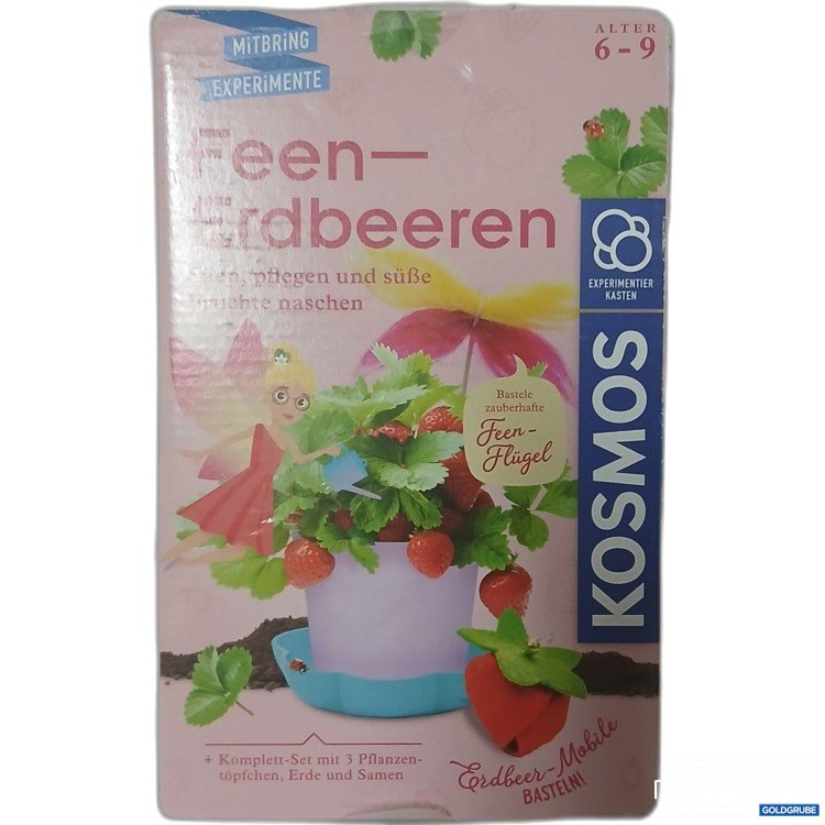Artikel Nr. 917435: Kosmos Feen-Erdbeeren 