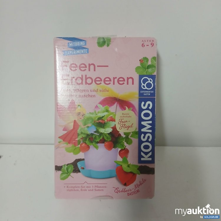 Artikel Nr. 917435: Kosmos Feen-Erdbeeren 