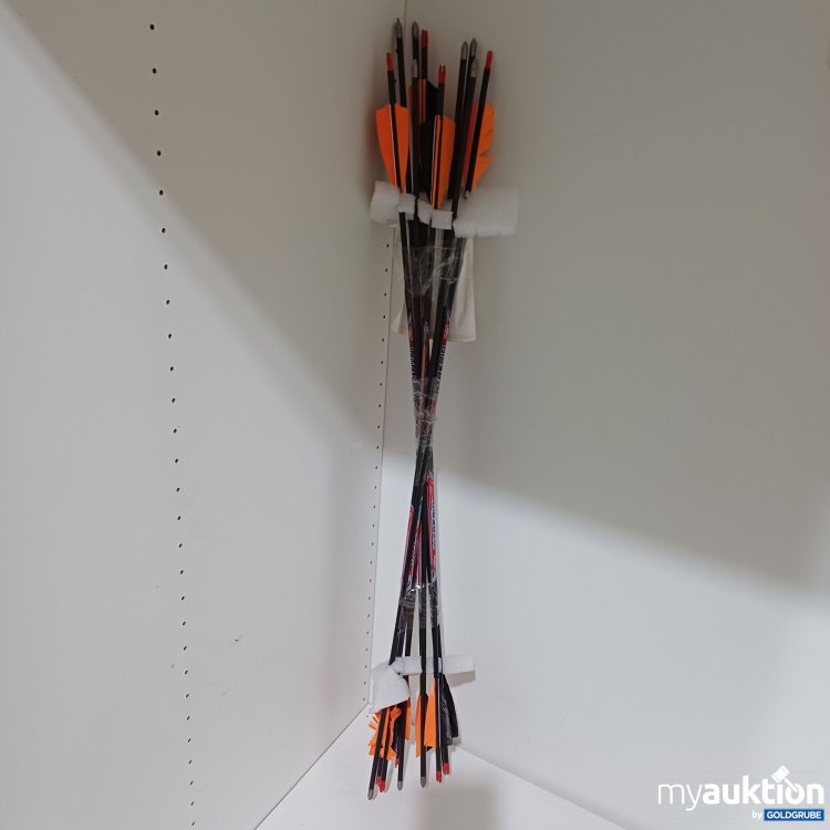Artikel Nr. 994436: Intrepid Black Eagle Arrows