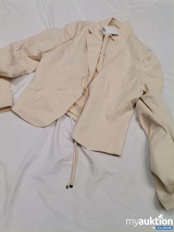 Artikel Nr. 881440 Artikel Nr. 881440: H&M Blazer verschmutzt