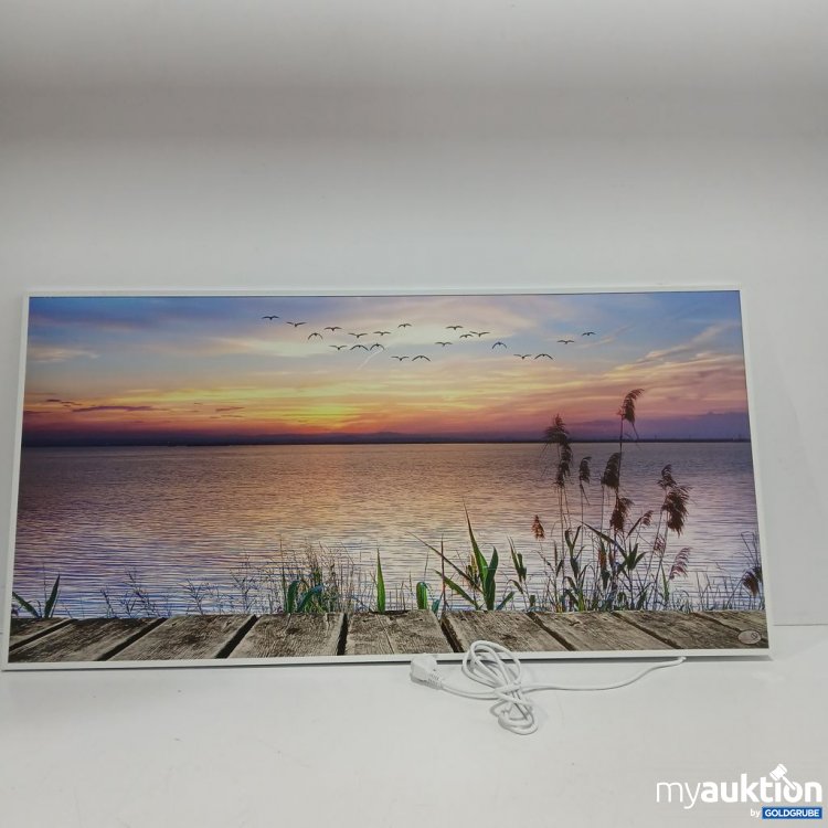 Artikel Nr. 442441: Köningshaus Infrarot Wandbild ca. 120x60cm