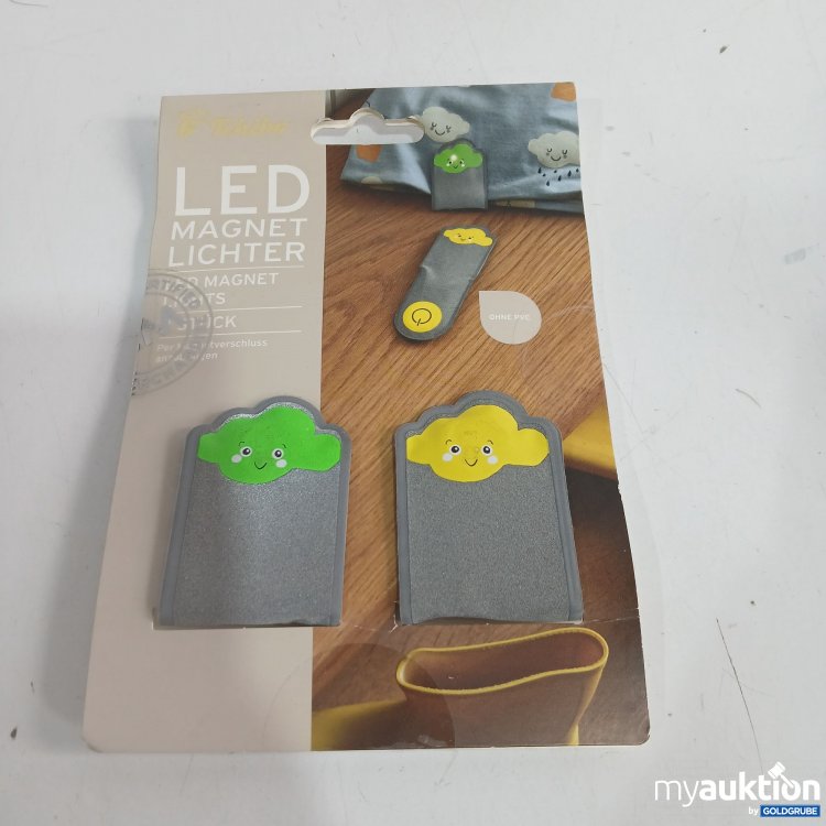 Artikel Nr. 874445: Tchibo LED Magnet Lichter 