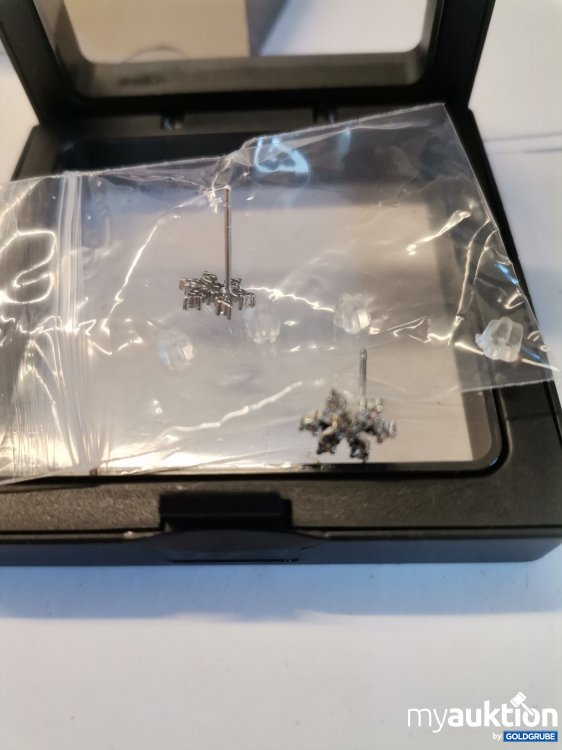 Artikel Nr. 893445: Ohrstecker 