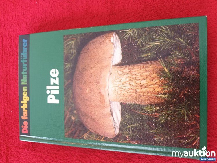 Artikel Nr. 937447 Artikel Nr. 937447: Pilze